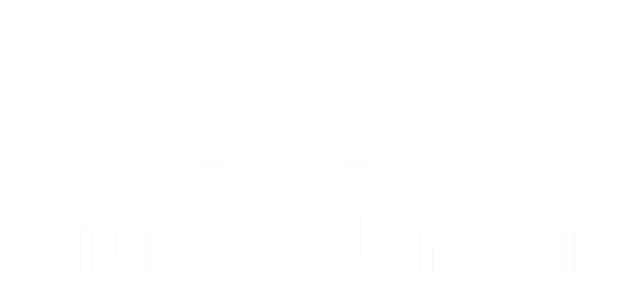 Ciudad Limpia